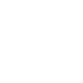 A1 Logo