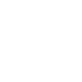 Dolphin Logo
