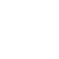 Wolf Theiss Logo