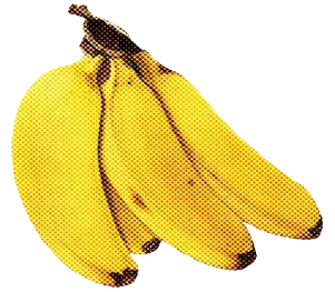 Bananas