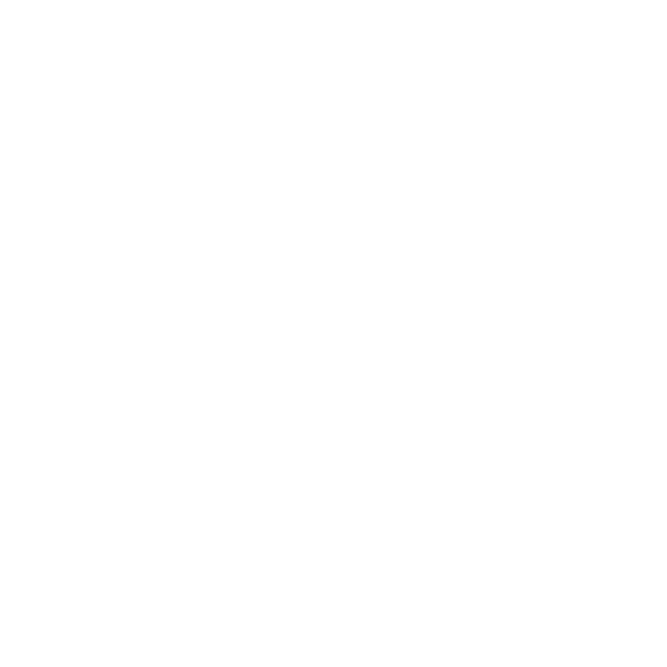 A1 Logo