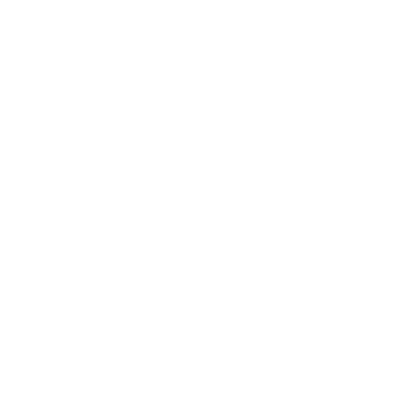 Dolphin Logo