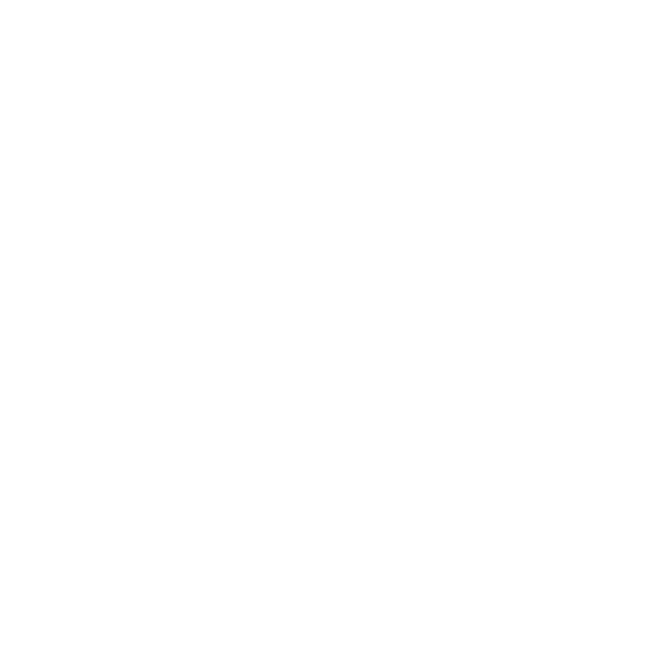 Wolf Theiss Logo